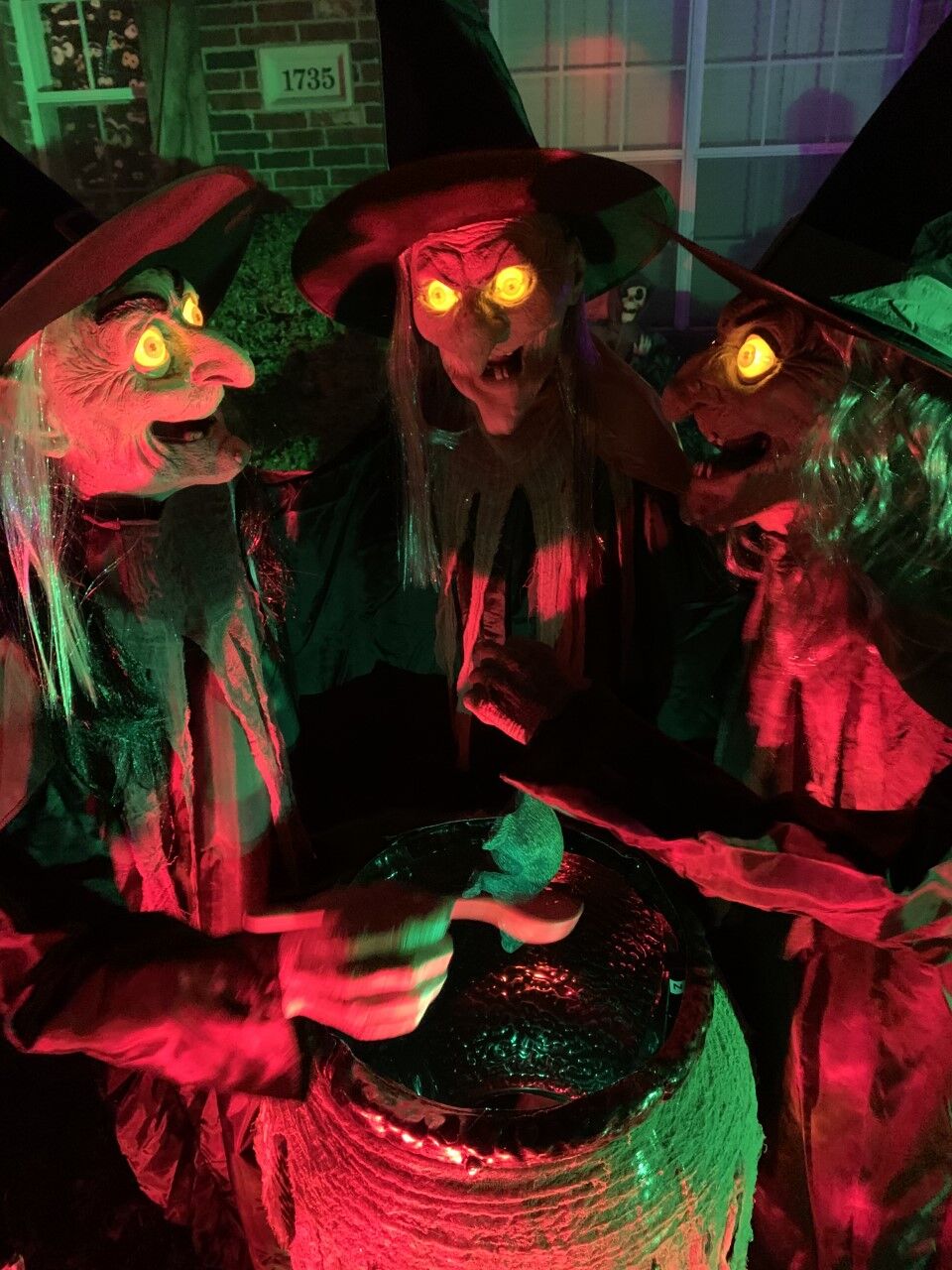 Troy Minaldi witches